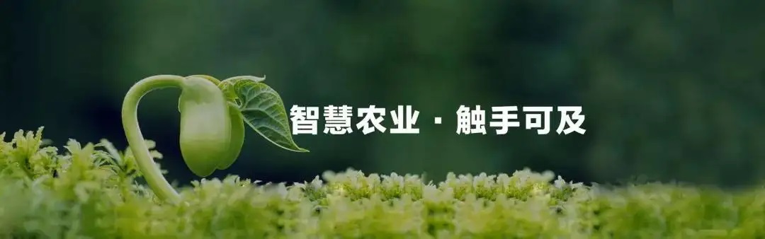 智慧農業(yè) 智慧農業(yè)